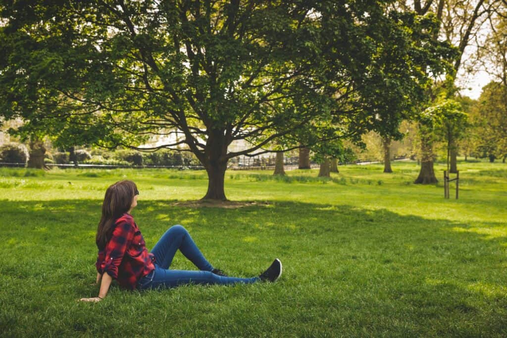 A sunny day in the park